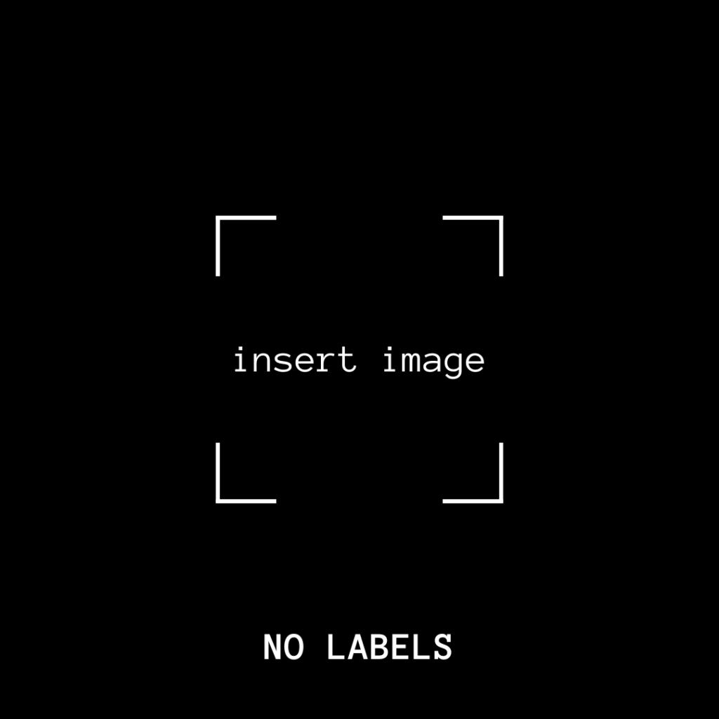 PROJECT PLACEHOLDER FOR NO Labels